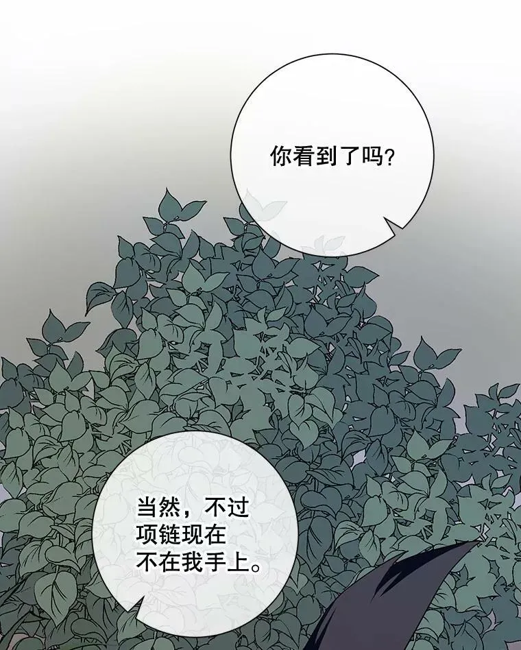 被嫌弃的私生女 63.丢失的项链 第112页