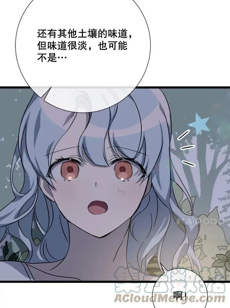 被嫌弃的私生女 63.丢失的项链 第73页