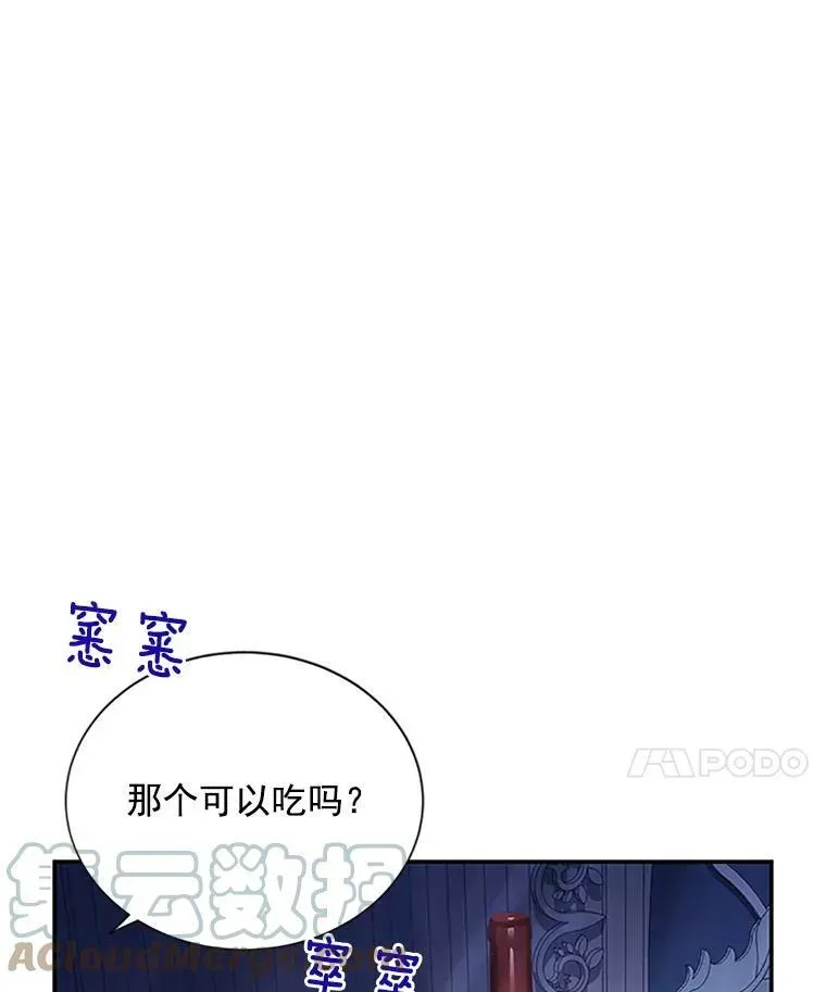 虚名的公爵之妻 25.结婚初夜 第29页