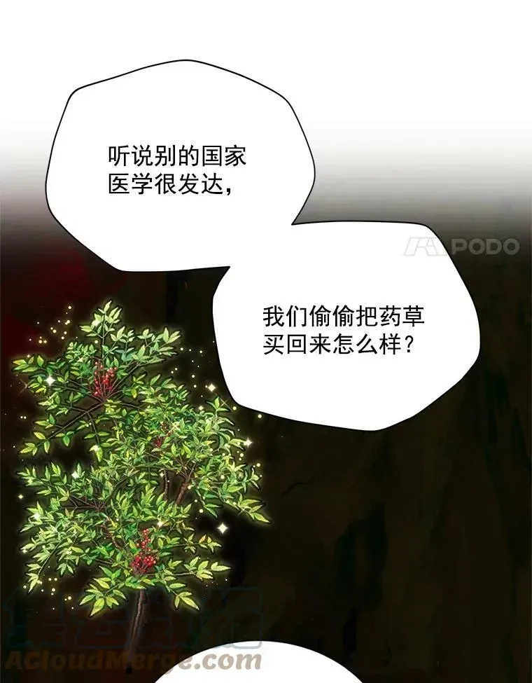 虚名的公爵之妻 52.加斯帕的反击 第57页