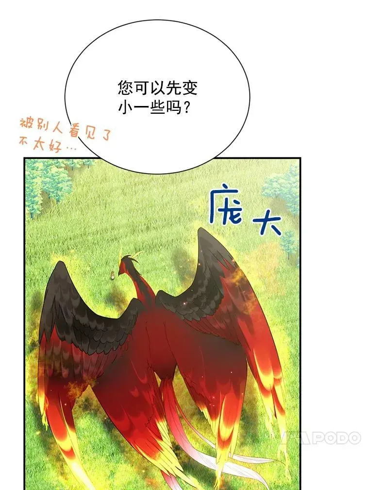 虚名的公爵之妻 46.召唤神兽之王 第60页