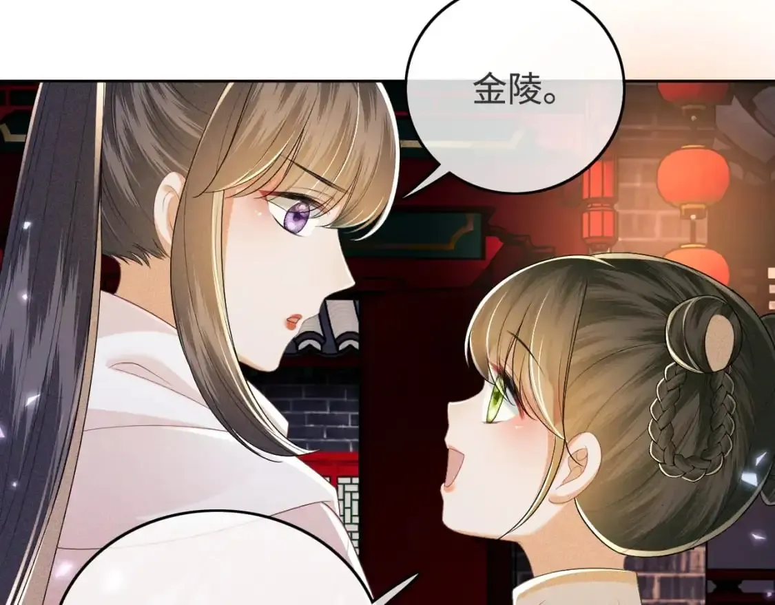 满级绿茶穿成小可怜 第96话 大皇兄和侠女姐姐 第29页