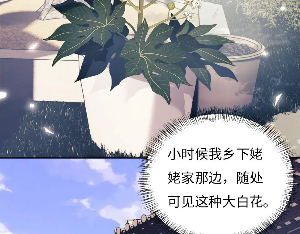 满级绿茶穿成小可怜 第55话 巨型猪草 第30页