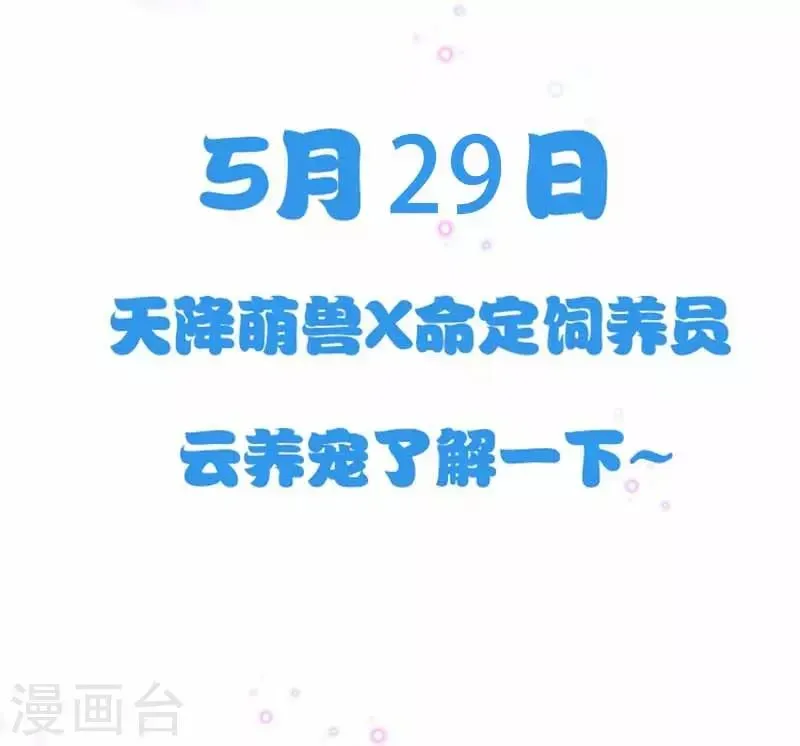 养兽为妃 预告 第20页