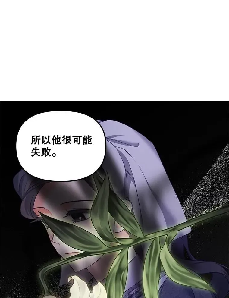 伯爵孤女的重生 151.深入敌后 第33页