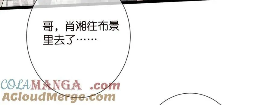 名门挚爱 第509话 舍身挡刀 第17页