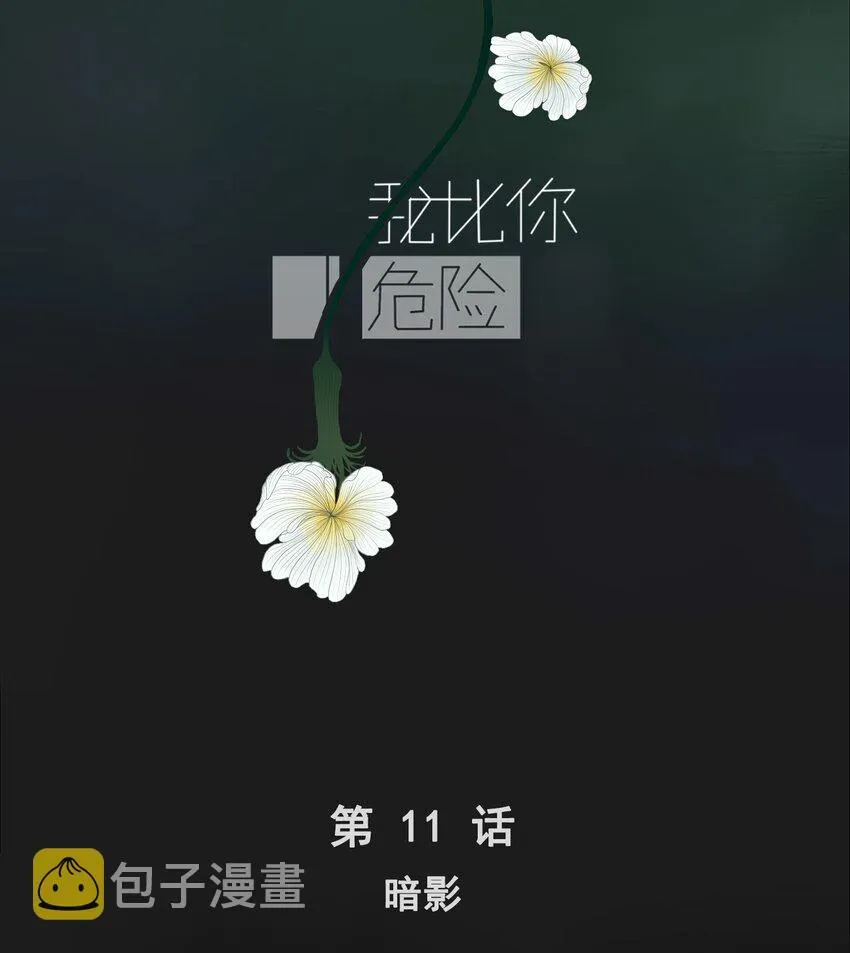 我比你危险 011 暗影 第2页