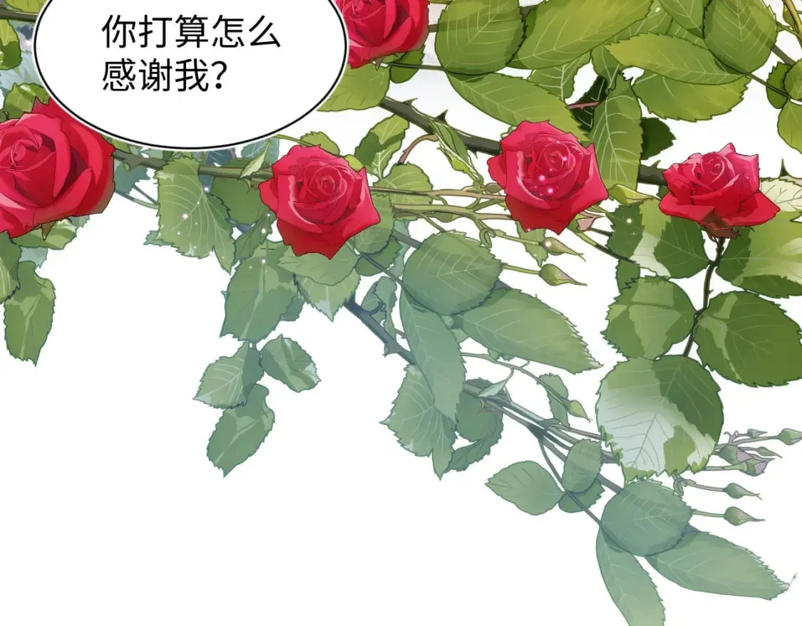 【快穿】绝美白莲在线教学 233花园里没人看见 第41页