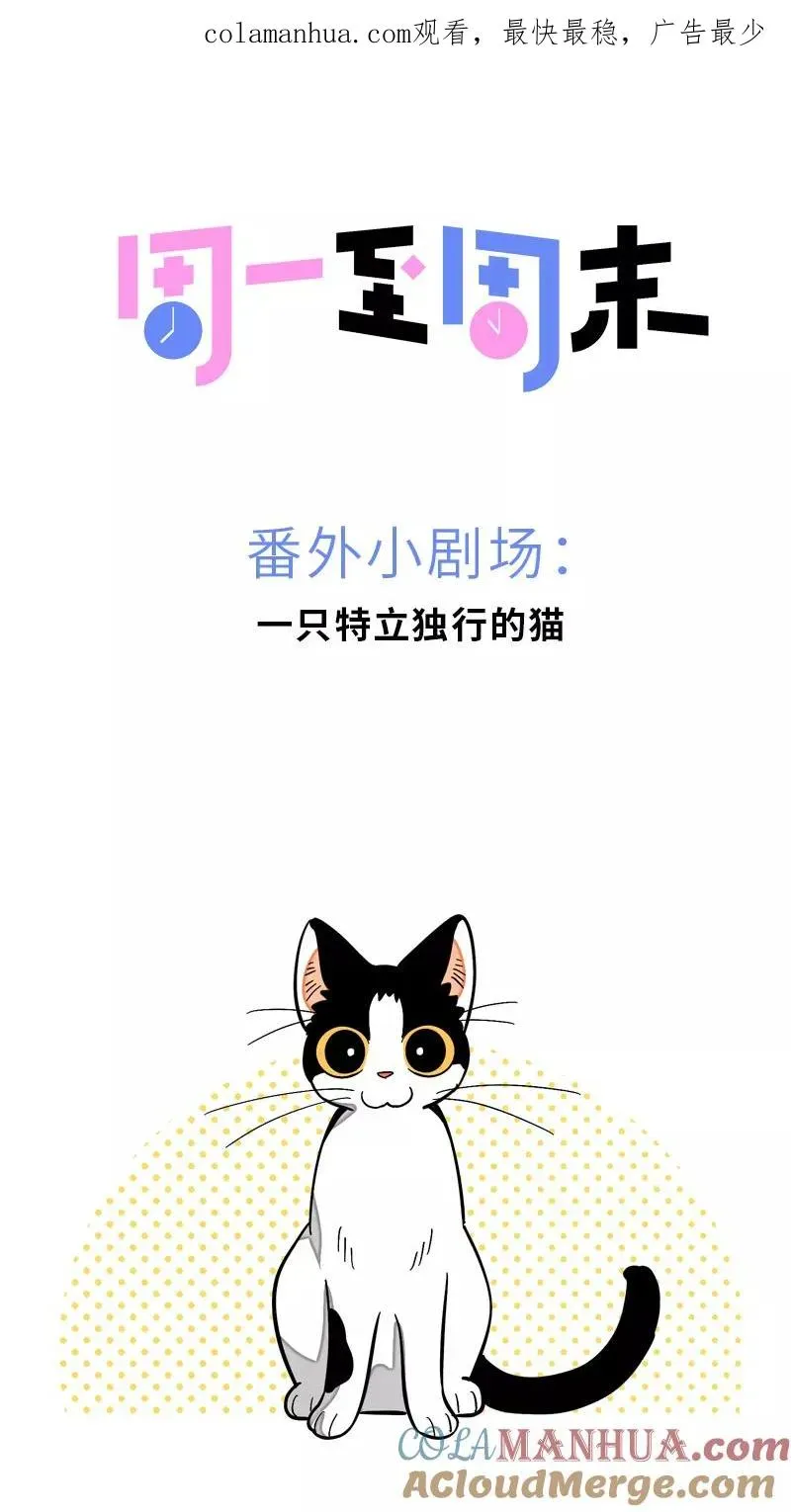 周一至周末 第11话 一只特立独行的猫 第1页