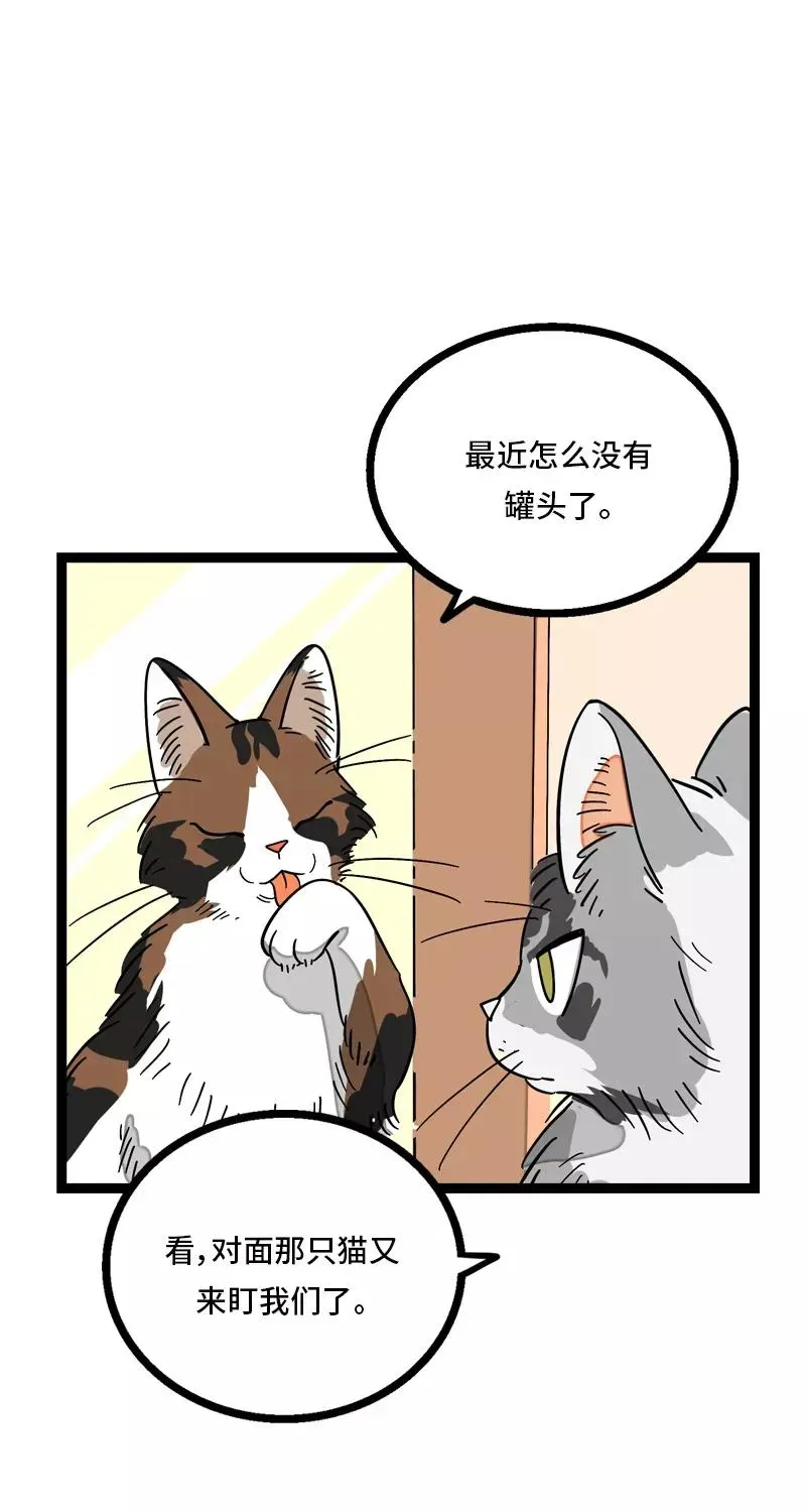 周一至周末 第11话 一只特立独行的猫 第21页