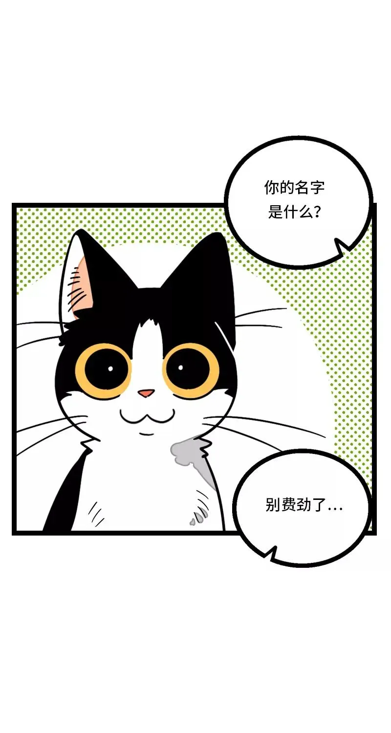 周一至周末 第11话 一只特立独行的猫 第24页