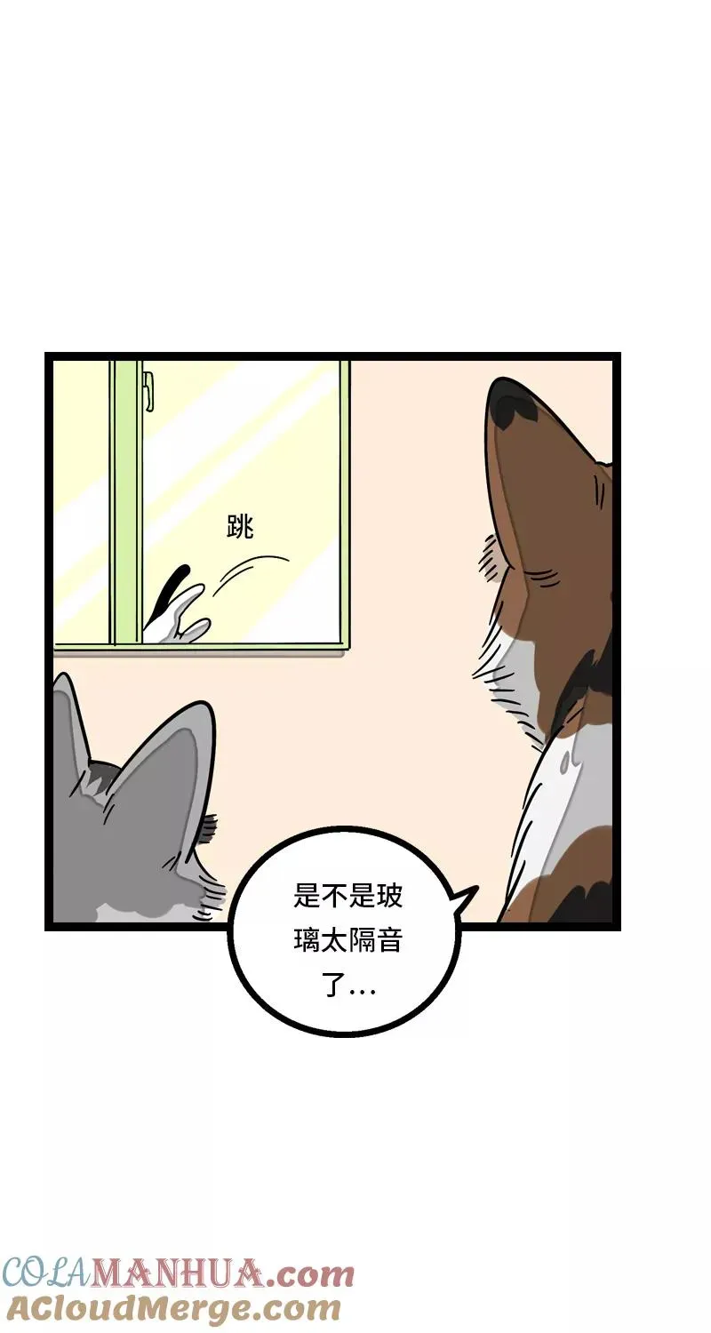 周一至周末 第11话 一只特立独行的猫 第25页