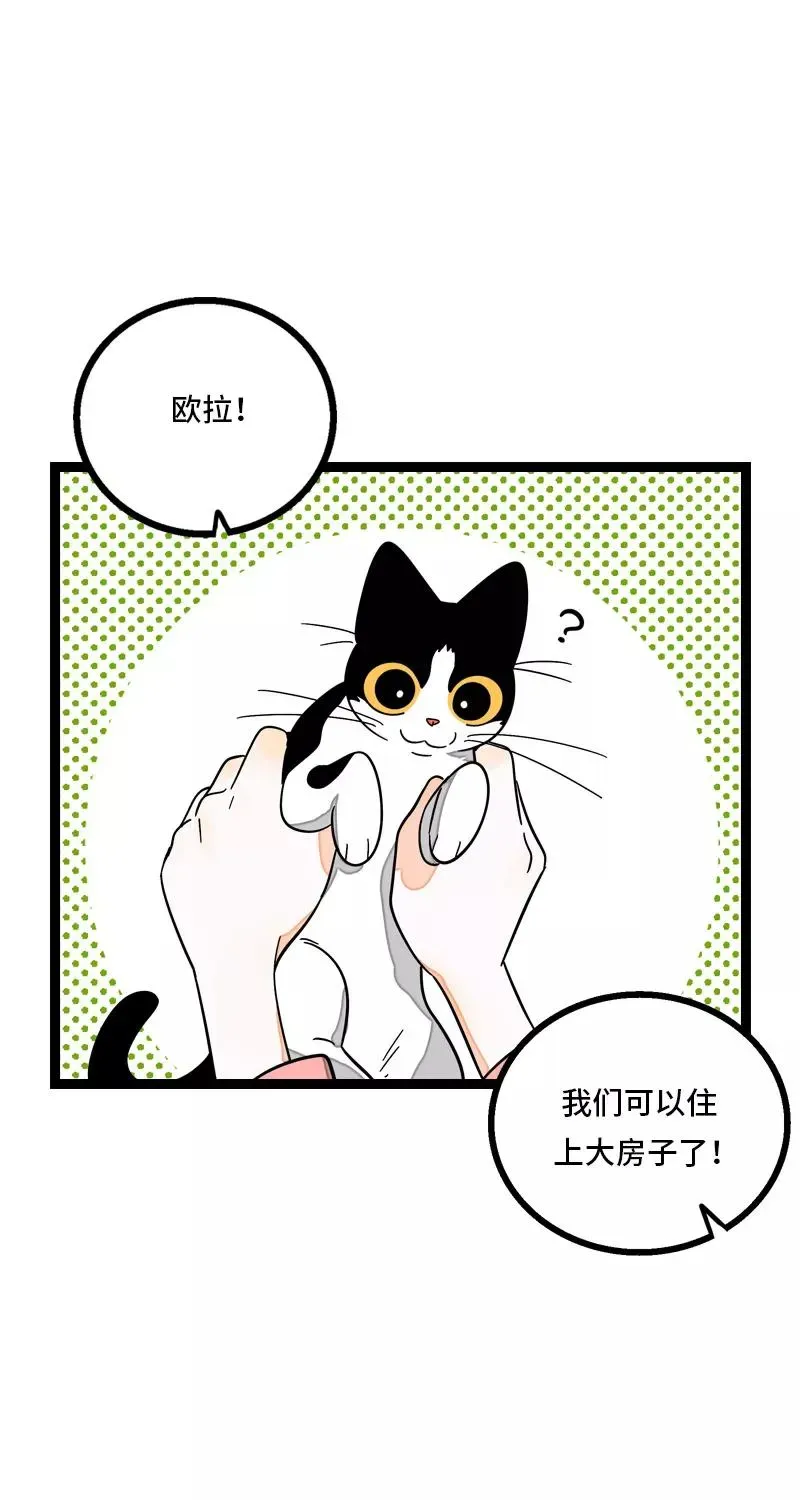 周一至周末 第11话 一只特立独行的猫 第36页