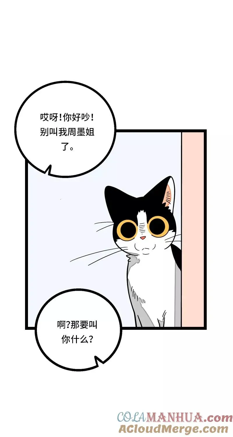 周一至周末 第11话 一只特立独行的猫 第40页