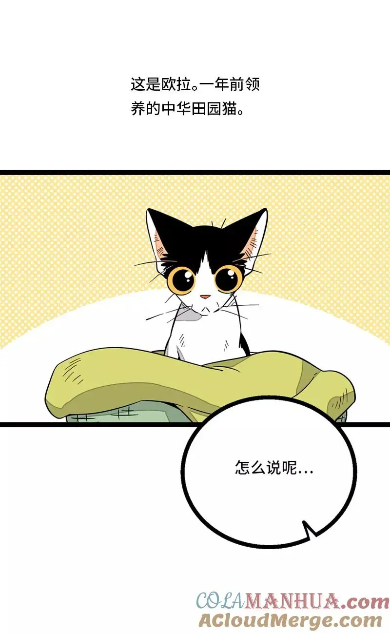 周一至周末 第11话 一只特立独行的猫 第4页