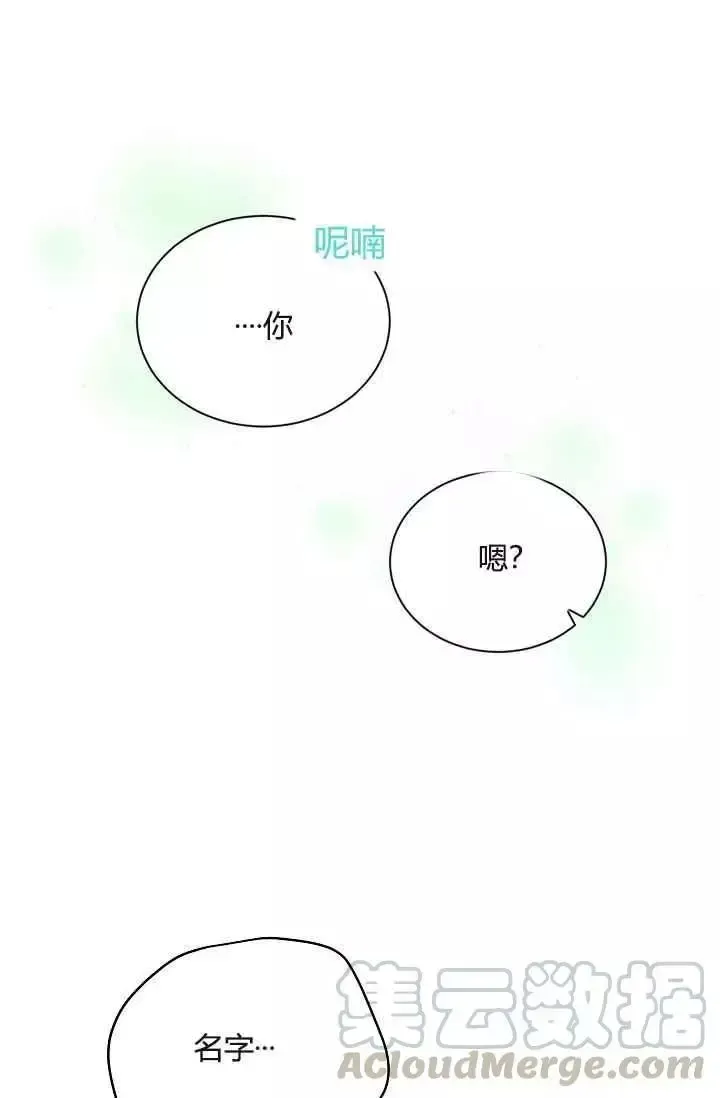 透明的公爵夫人 第37話 第13页