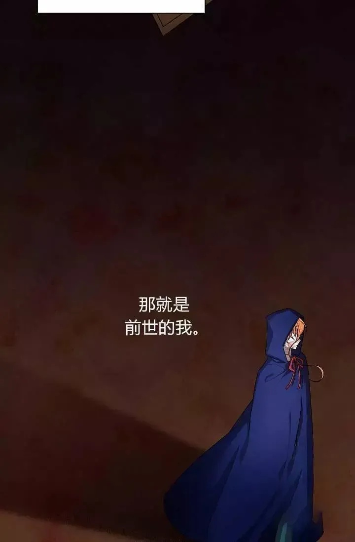 透明的公爵夫人 第46話 第31页