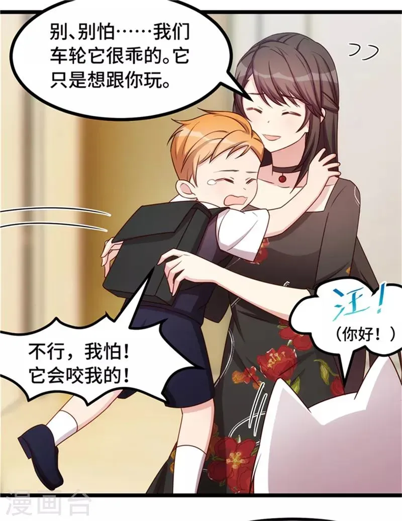 贺少的闪婚暖妻 第233话 关门放狗 第23页