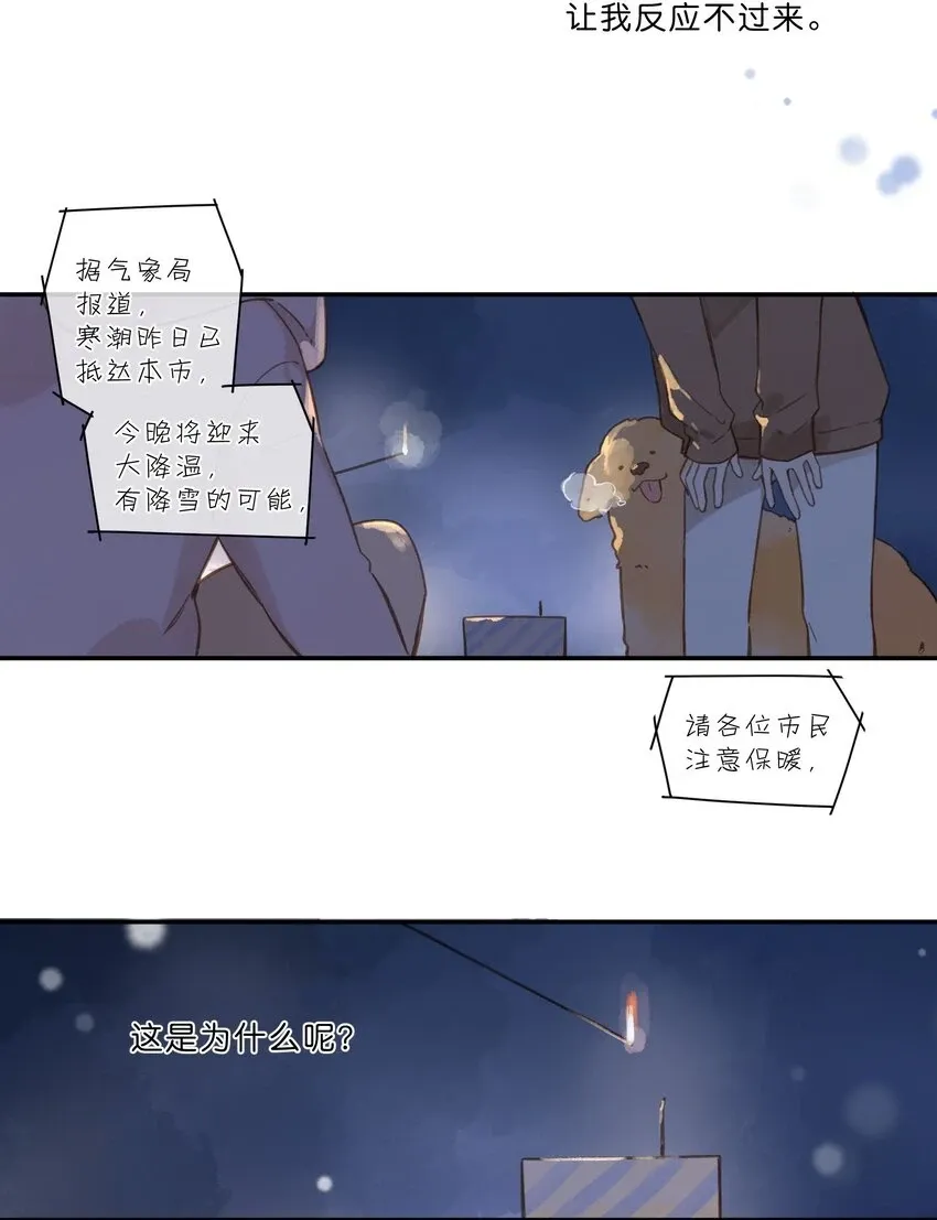 街角的向阳花屋 第56话 雪花绽放之时 第41页