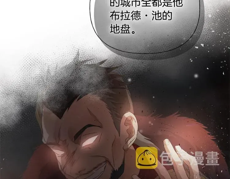 金发精灵师之天才的烦恼 第64话 强悍的武力值 第17页