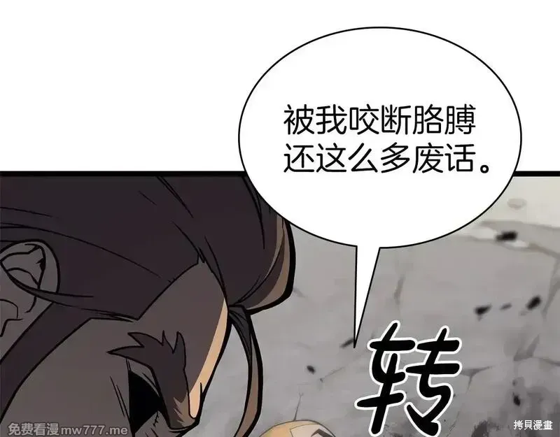 灾难级英雄归来 第79话 第247页