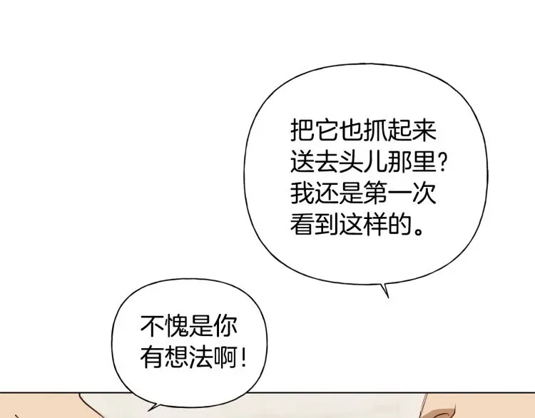 金发精灵师之天才的烦恼 第64话 强悍的武力值 第34页