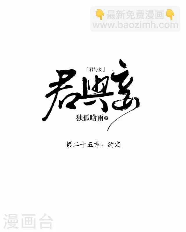 君与妾 第25话 约定 第15页