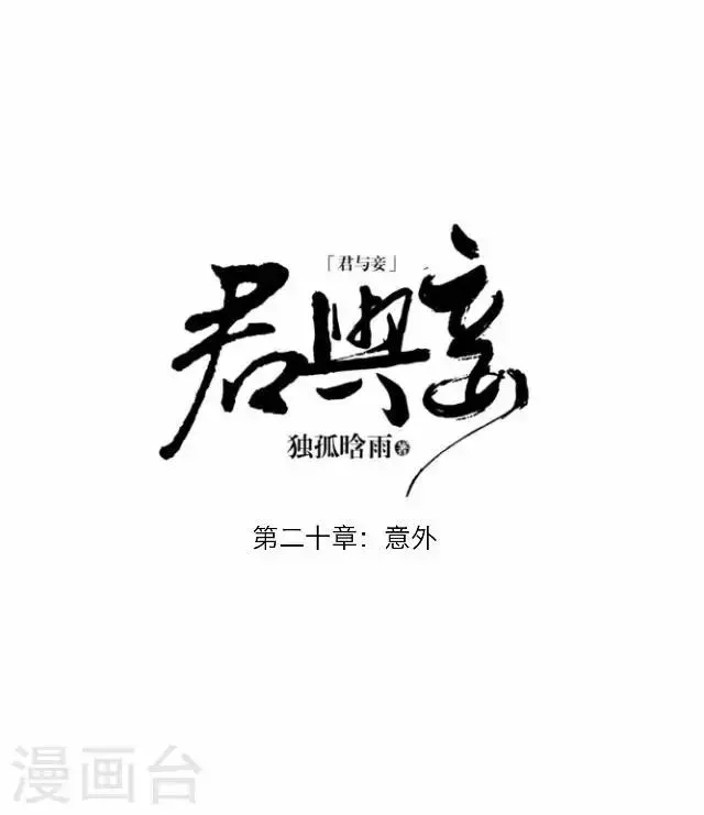 君与妾 第20话 意外 第20页