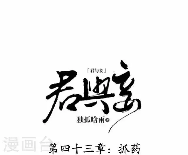 君与妾 第43话 抓药 第22页