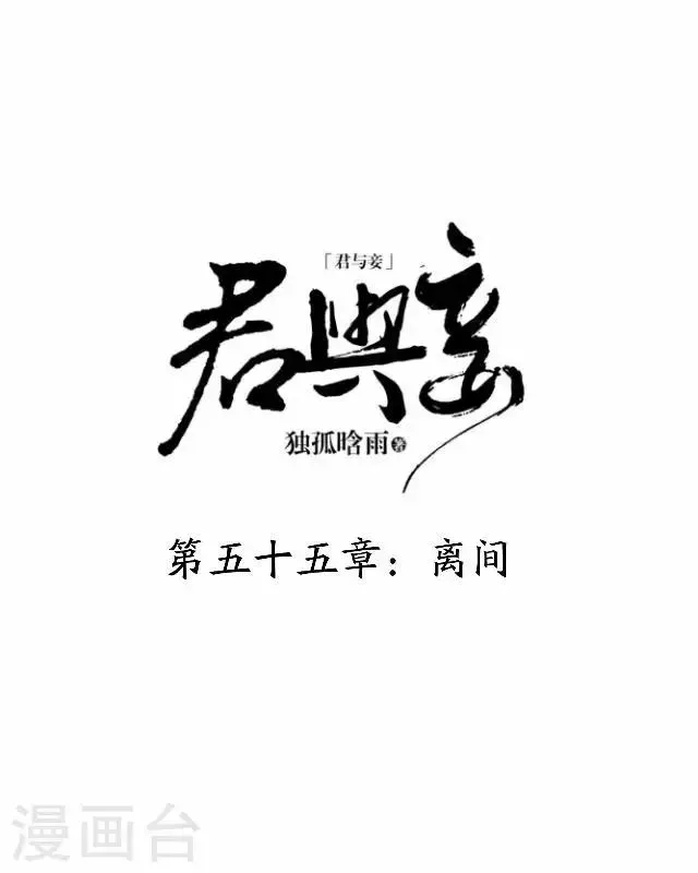 君与妾 第55话 离间 第25页