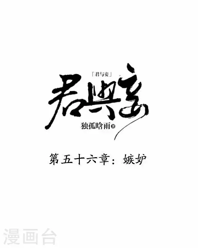 君与妾 第56话 嫉妒 第29页