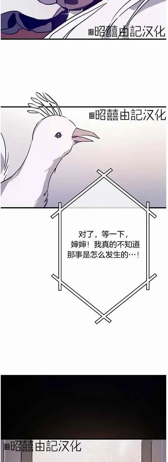 丑小鸭 第44话 第36页