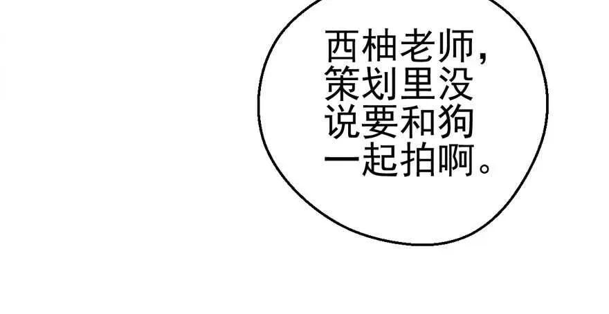 我才不是恶毒女配（麻辣女配） “男神”哈哈。 第37页