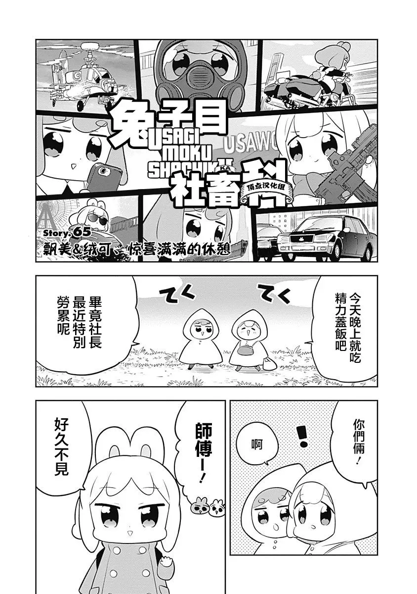 兔子目社畜科 第65话 第1页