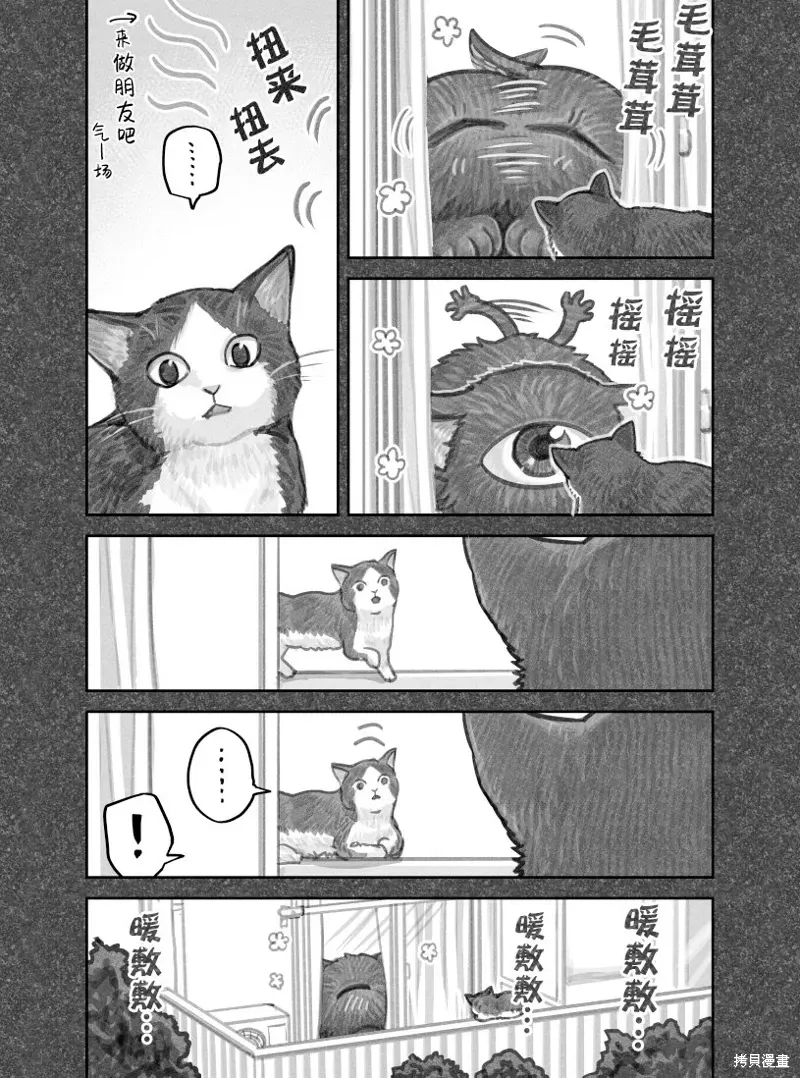 我捡了一只猫 02部19话 第3页