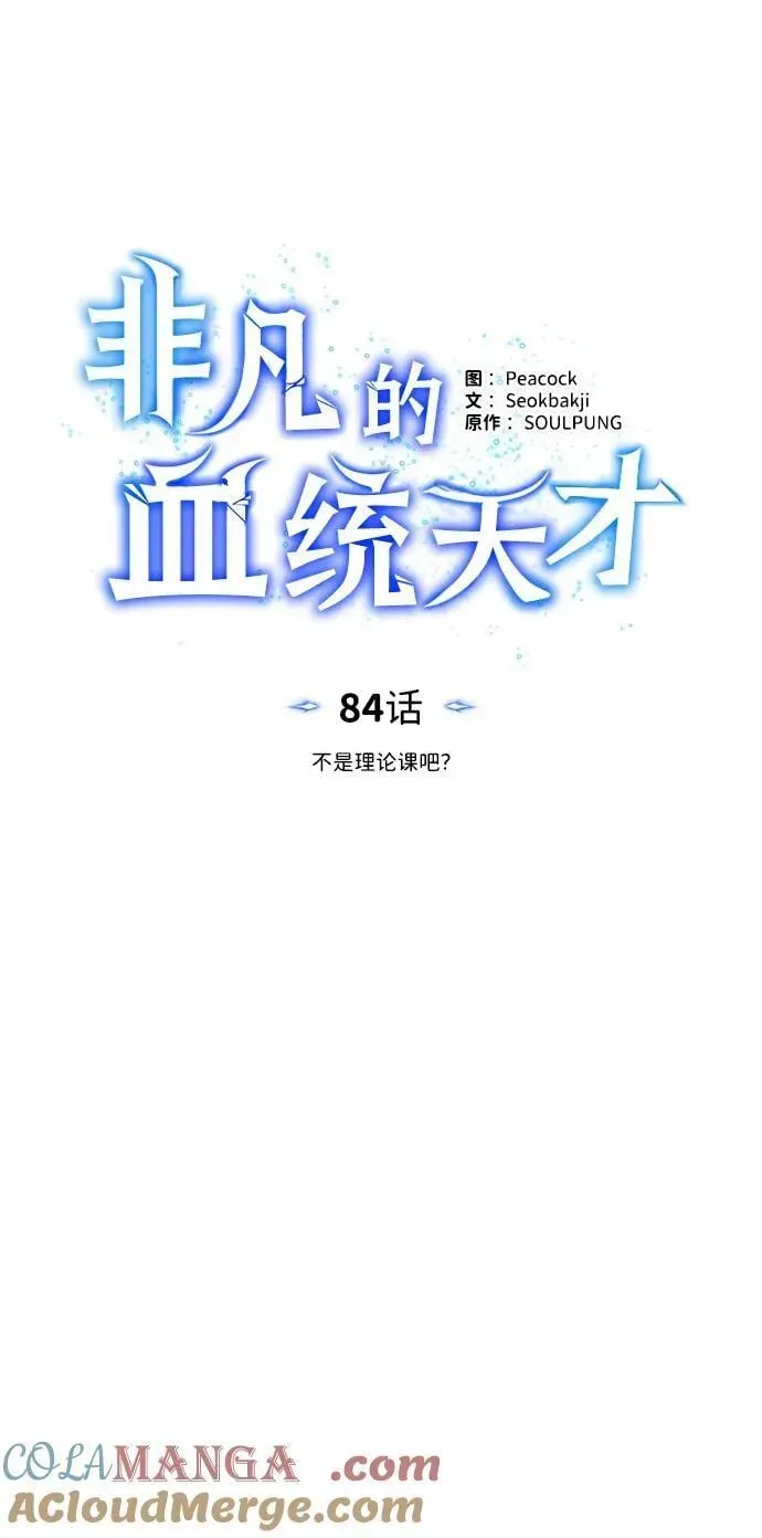 非凡的血统天才 [第84话] 不是理论课吧？ 第17页