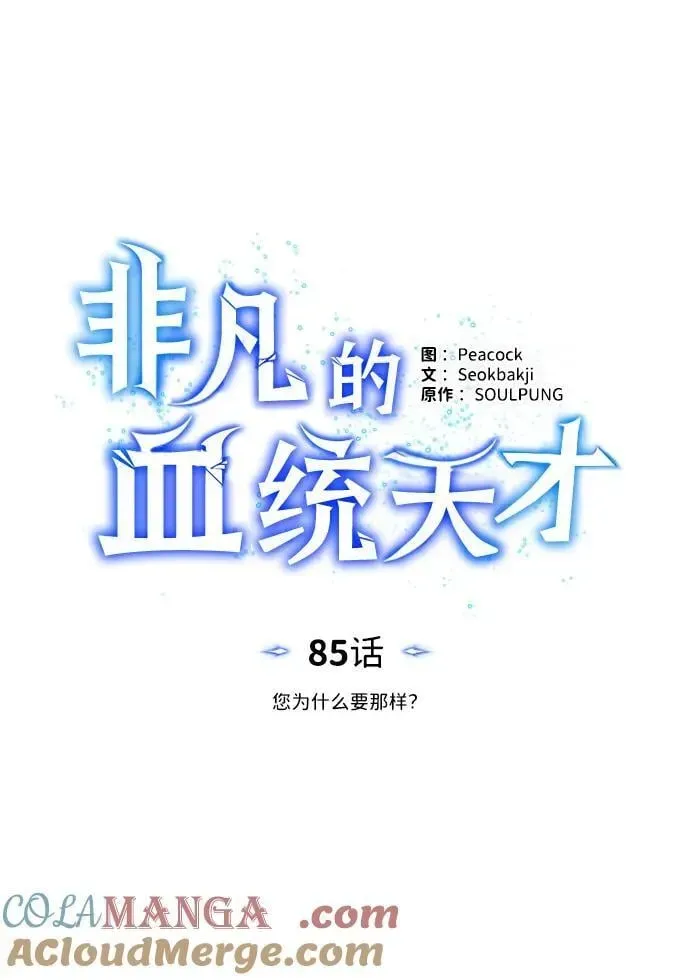 非凡的血统天才 [第85话] 您为什么要那样？ 第17页