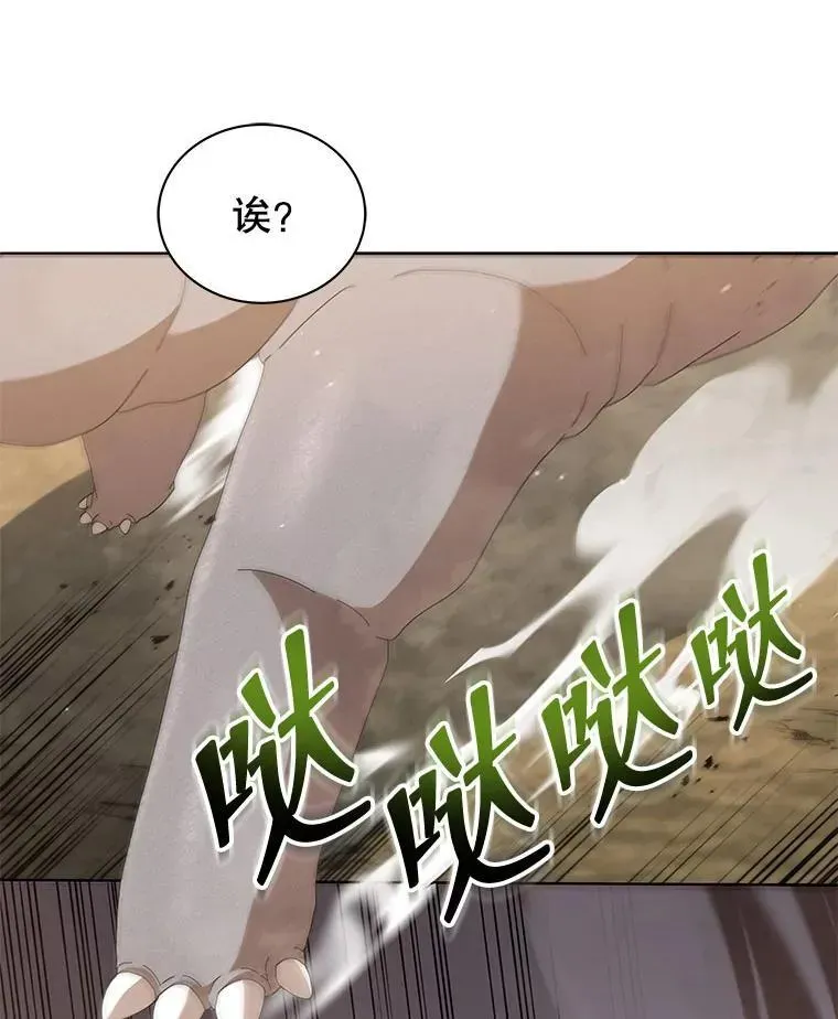 巫师学校的召唤天才 15.魔斗学 第75页