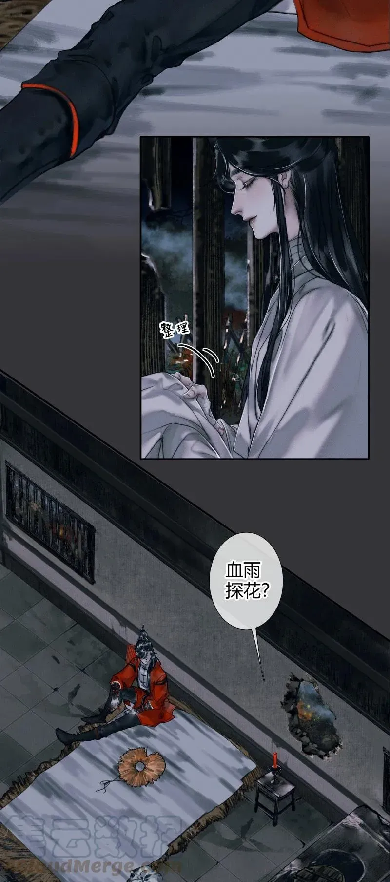 天官赐福 058 血雨探花 第19页