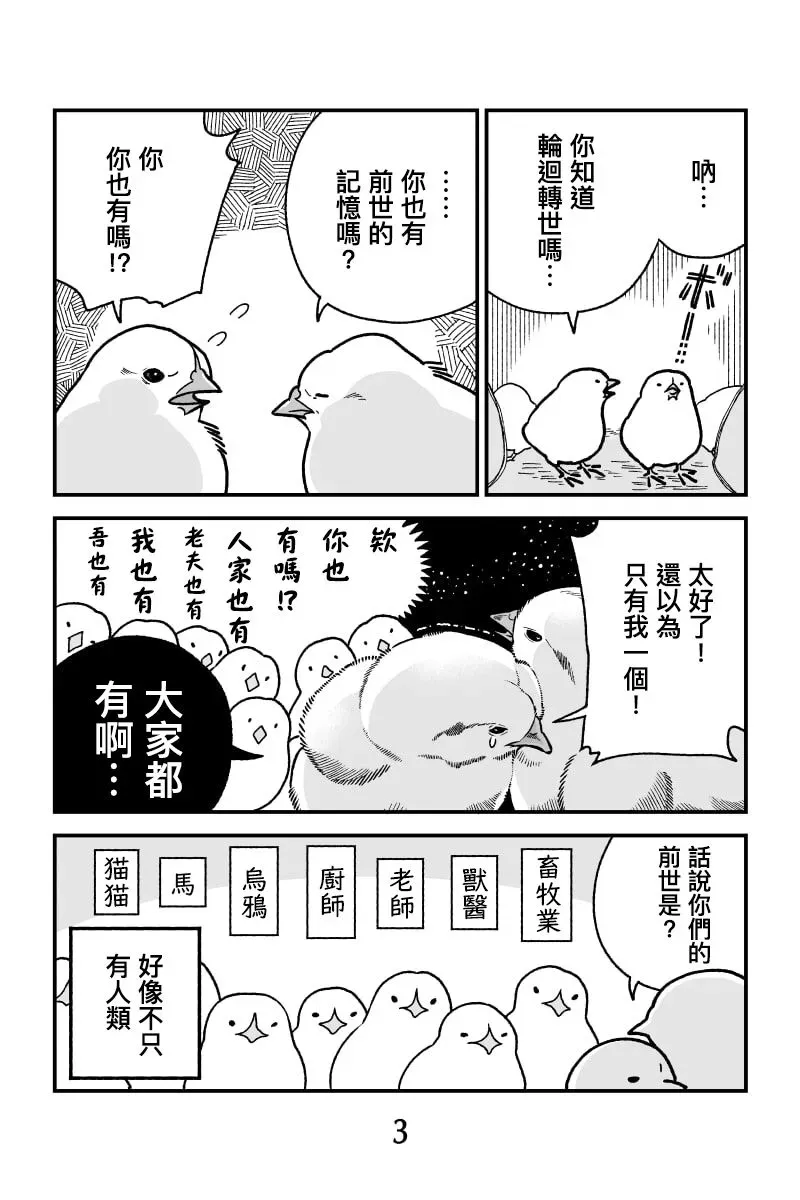 创世小黄鸡 小黄鸡梦醒后 第2页