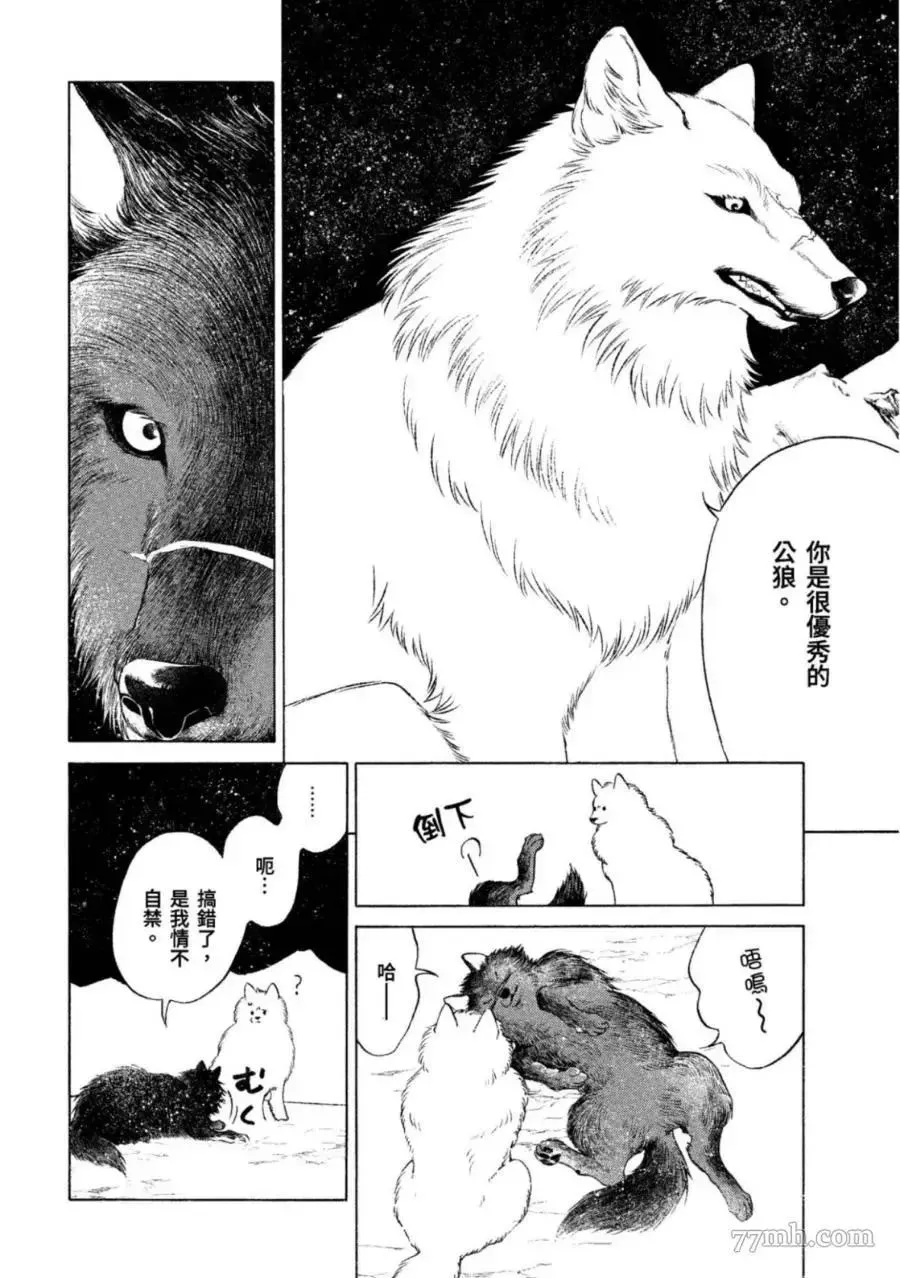 WOLF PACK 狼族 第1卷 第31页