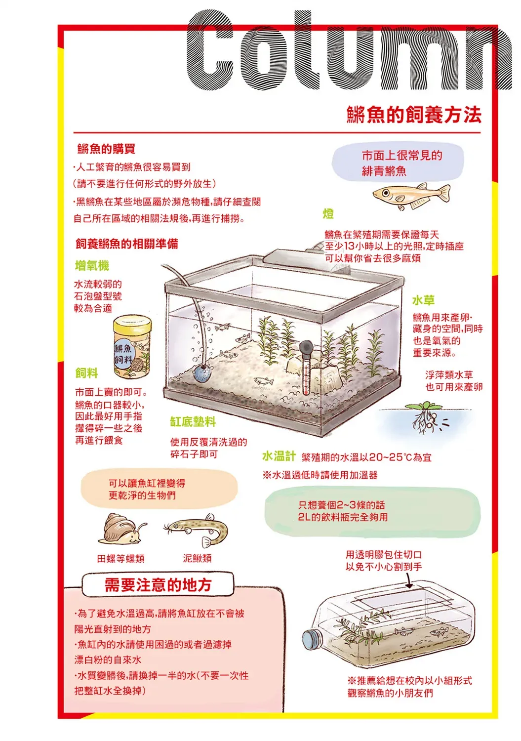 野生动物竟在我身边 2卷-春 第17页