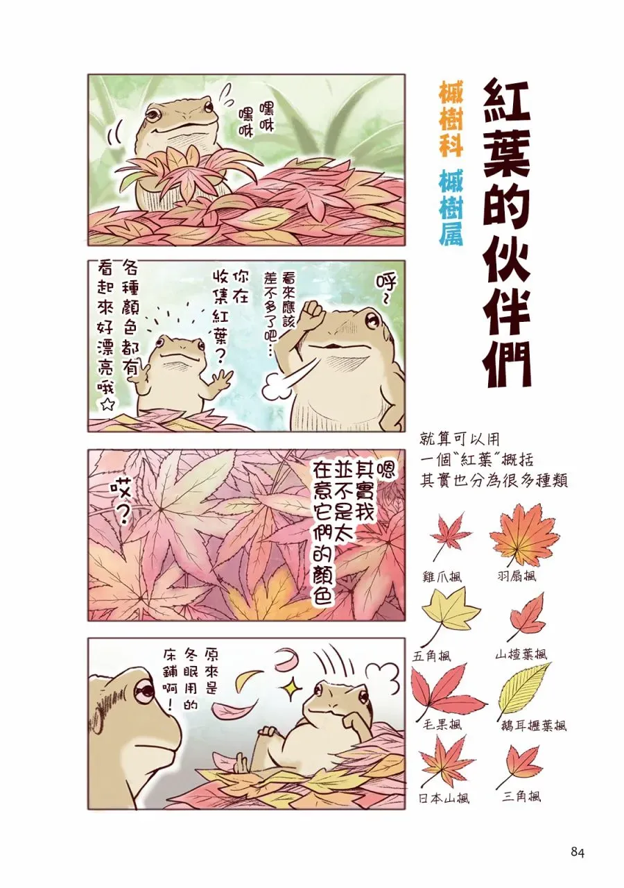 野生动物竟在我身边 秋 第19页