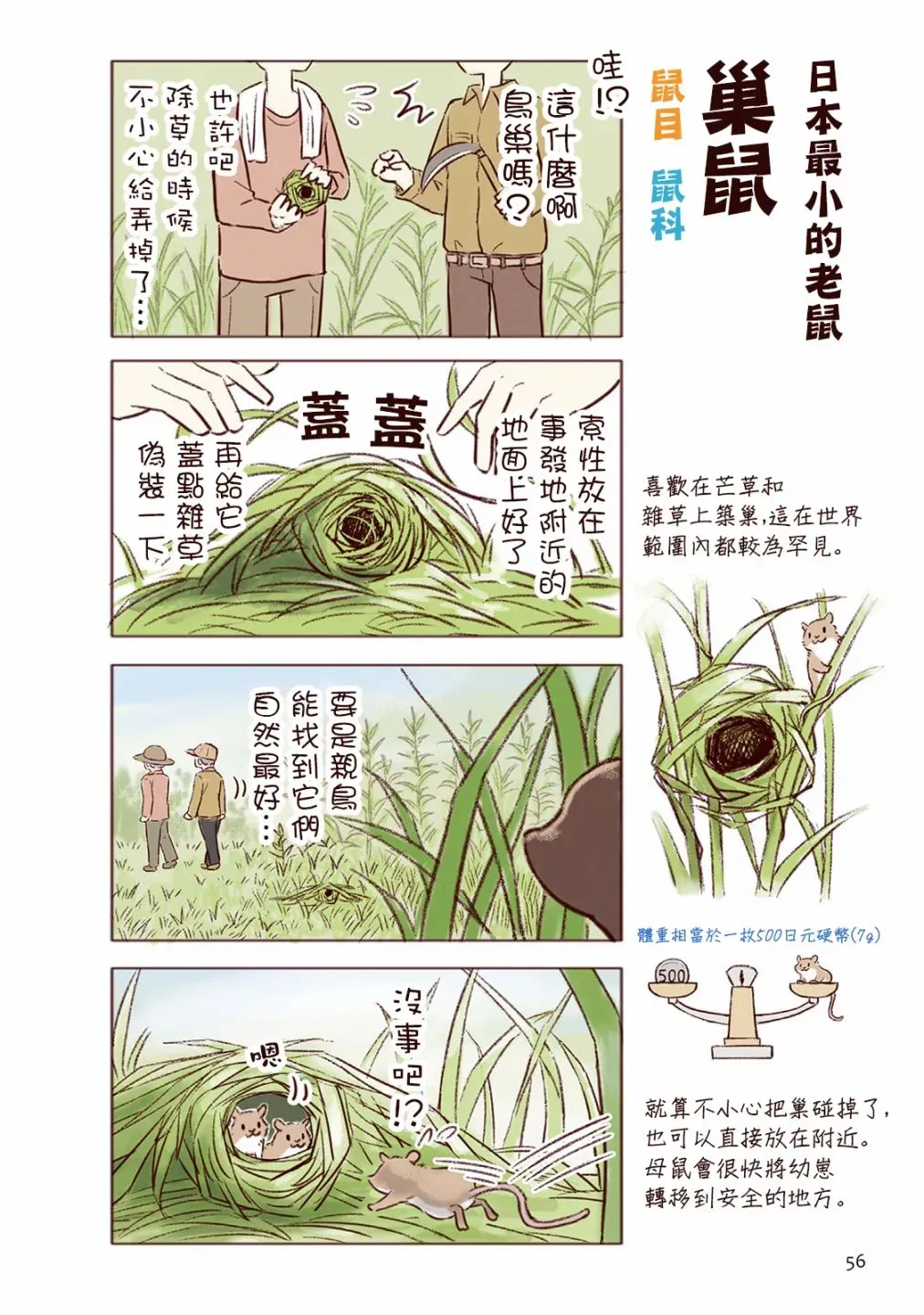 野生动物竟在我身边 第02卷夏 第19页