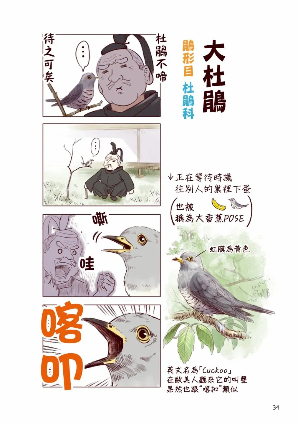 野生动物竟在我身边 夏 第2页