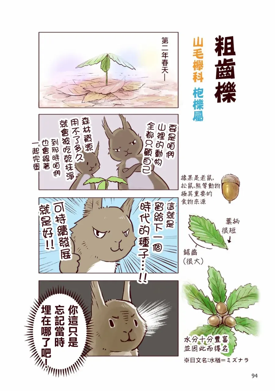 野生动物竟在我身边 秋 第29页