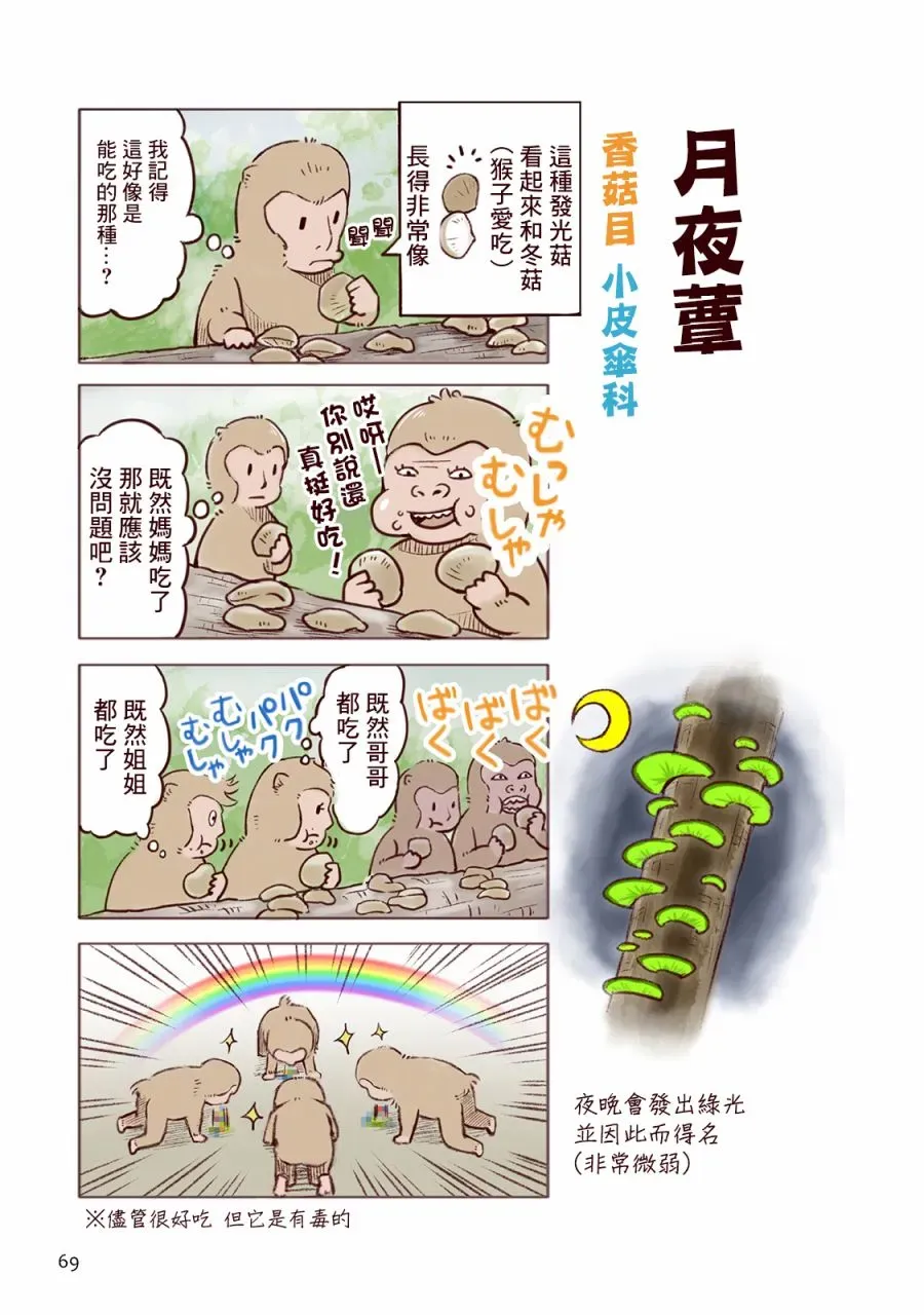 野生动物竟在我身边 秋 第4页