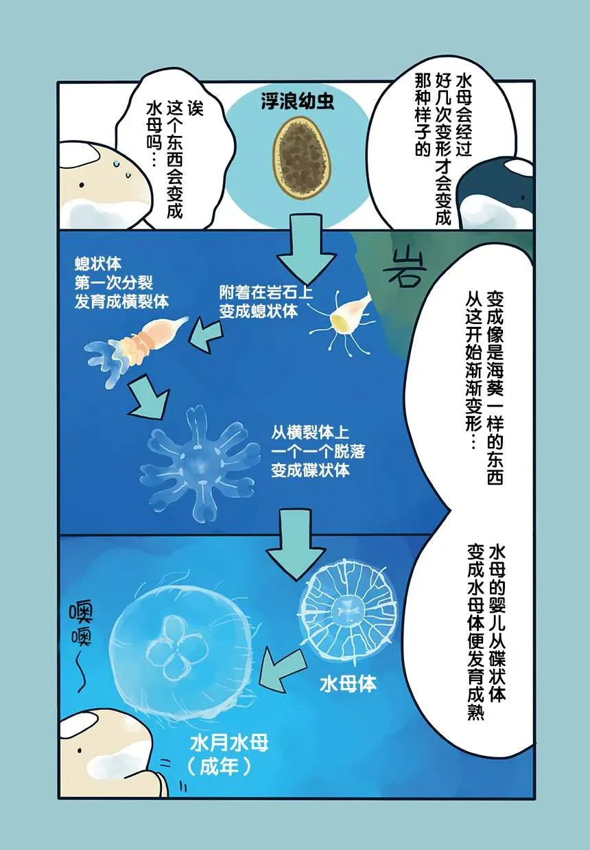 海洋动物太可爱了! 第13话 第5页