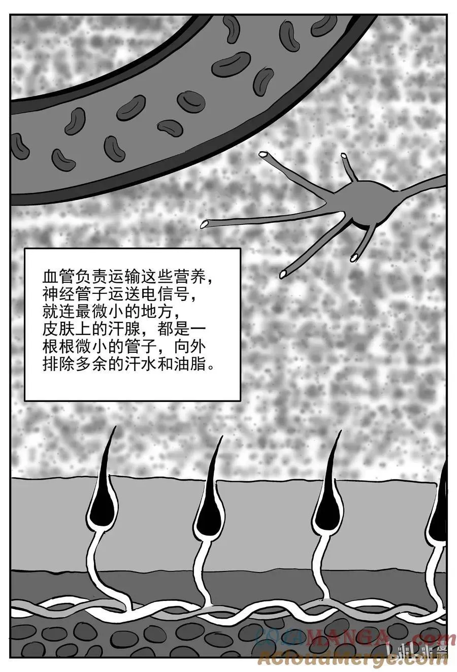 小智怪谈 1047 一分钟怪异故事 第8页