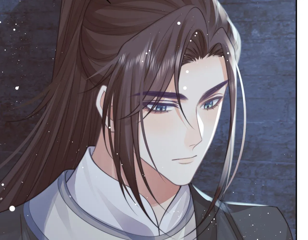 独占病美人师尊 第79话 失忆师尊 第29页